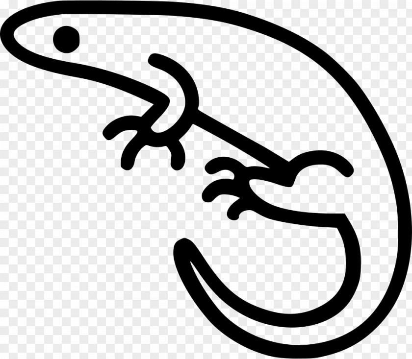 Salamander Clip Art The Noun Project Terrarium Image PNG