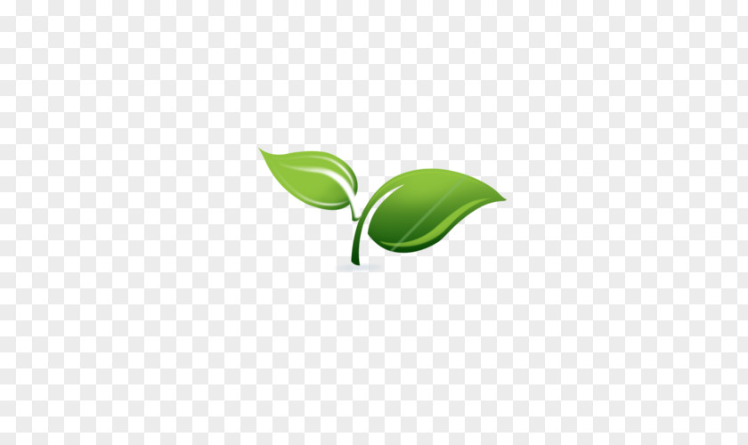 Spring Framework Logo & Sprout Support Services, LLC Enterprise JavaBeans Application Server PNG