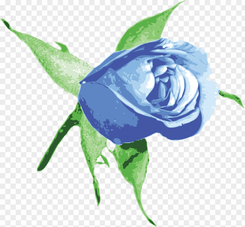 Blue Rose Clip Art PNG