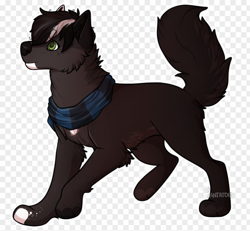 Cat Puppy Dog Breed Horse PNG