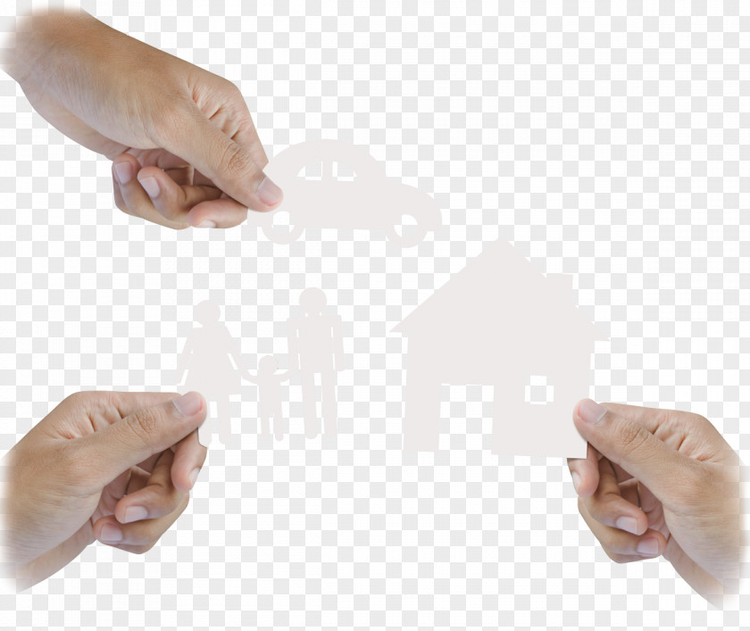 Design Thumb Animal PNG