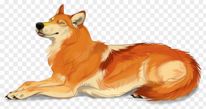 Dog Red Fox DeviantArt Drawing PNG