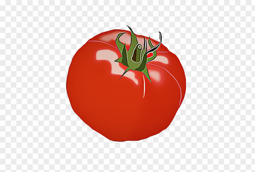 Plum Tomato Nightshade Family PNG