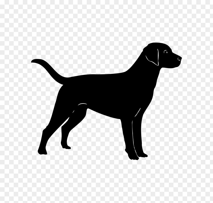Golden Retriever Labrador Puppy French Bulldog German Shepherd PNG