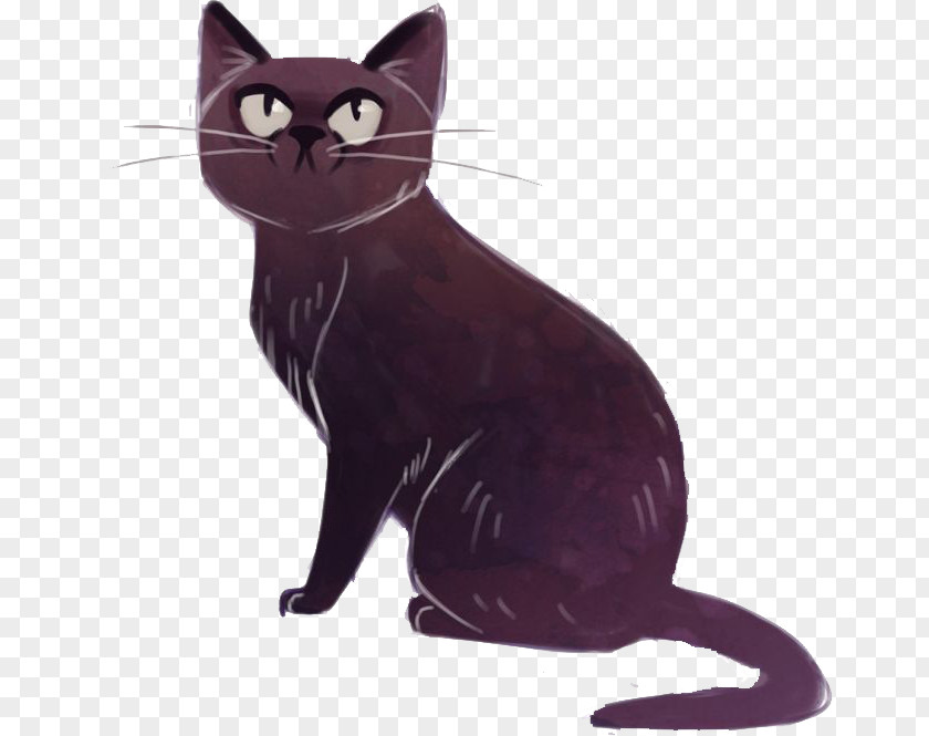 Kitten Black Cat Korat Bombay Domestic Short-haired Munchkin PNG