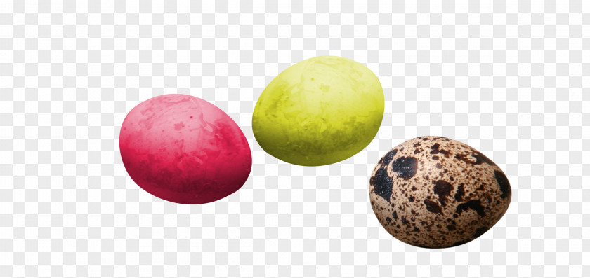Pretty Creative Color Eggs Easter Bunny Egg Clip Art PNG