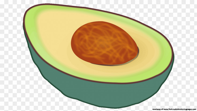Avocado Nutrition Fruit Auglis Clip Art PNG