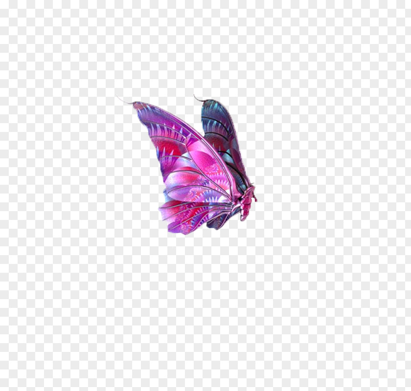 Butterfly,insect,specimen Butterfly Image File Formats Clip Art PNG