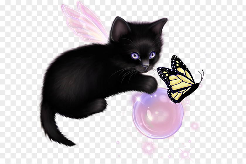 Cat Kitten Image Drawing Illustration PNG