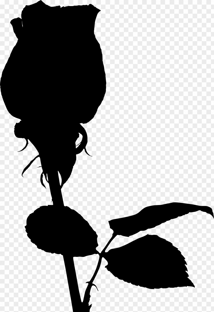 Clip Art Silhouette Beak Black M PNG