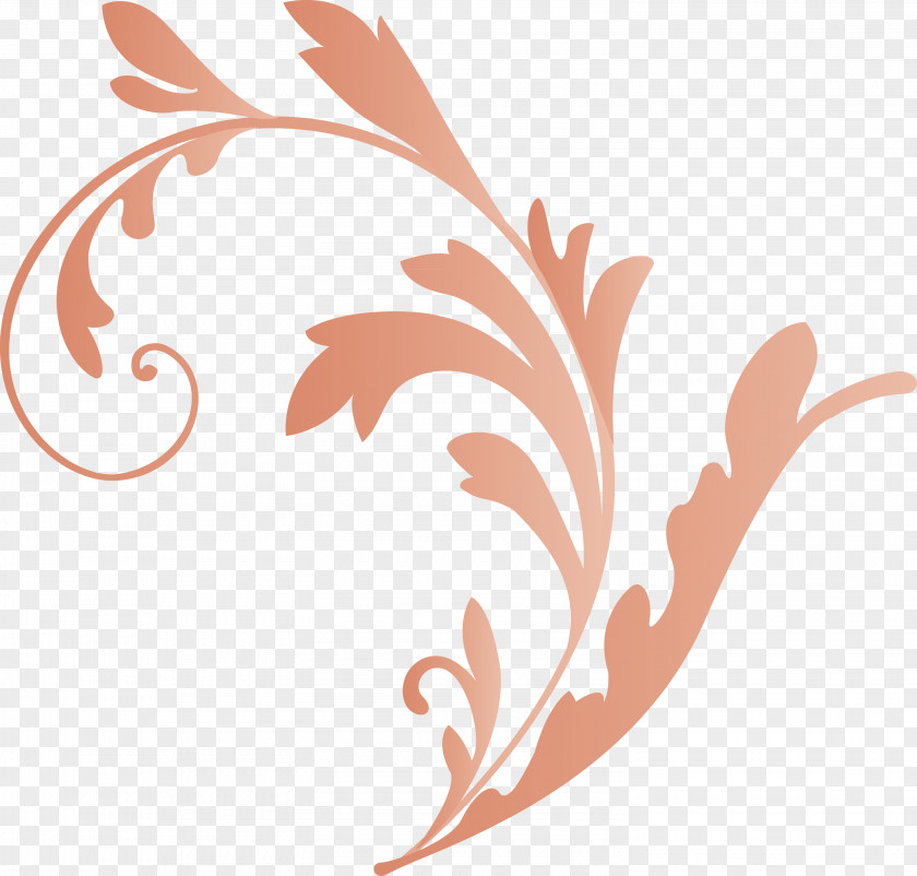 Flower Frame Decoration Floral PNG