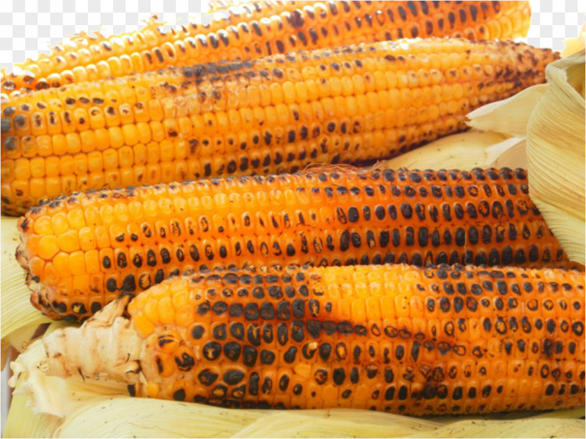 Grilled Corn Post Falls Maize Fritter Food Flavor PNG