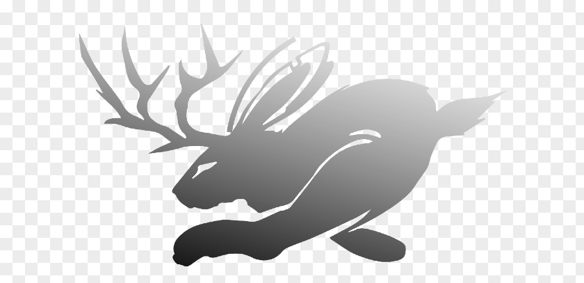 Jackalope Sport Jakalope PNG