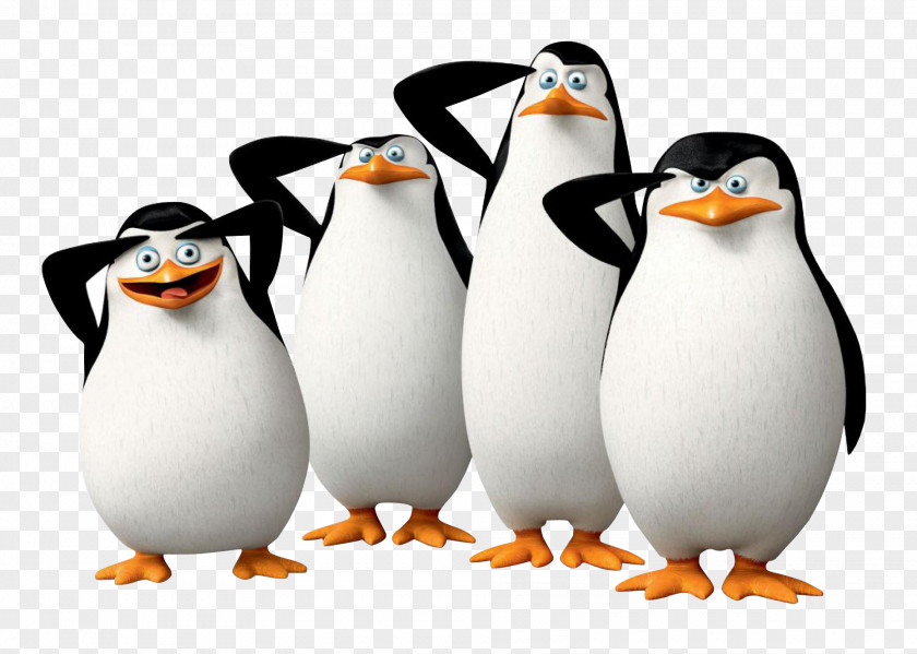 Penguin Kowalski Madagascar DreamWorks Wallpaper PNG