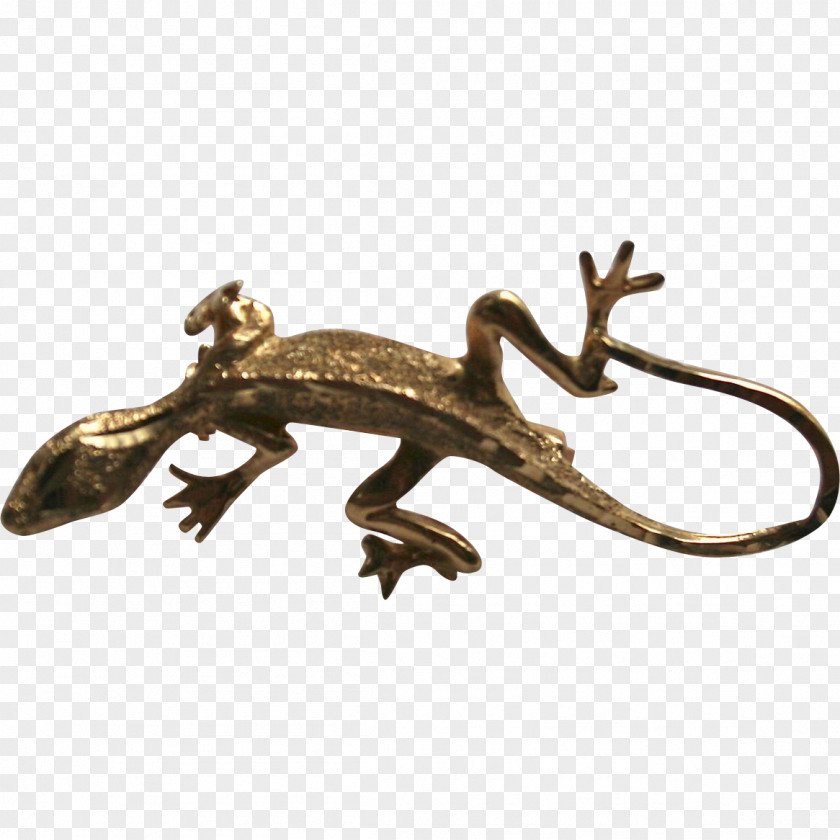 Salamander Lizard Reptile Gecko Metal Animal PNG
