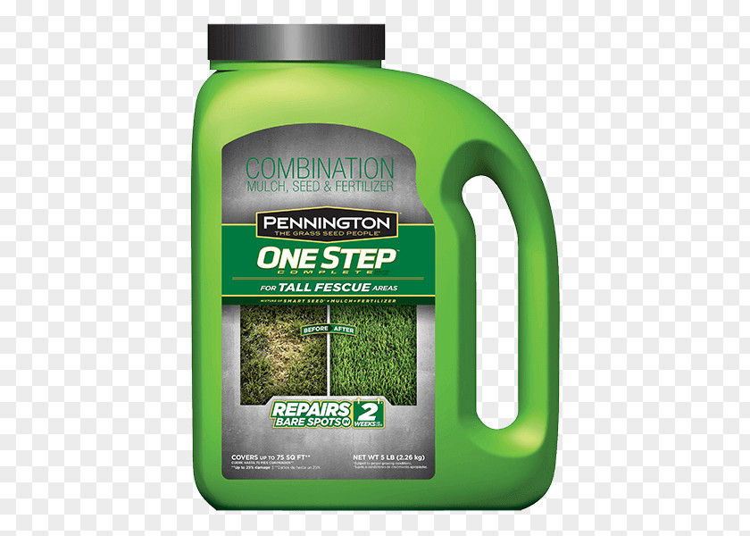 Seeding Tall Fescue Lawngrass Seed The Home Depot PNG