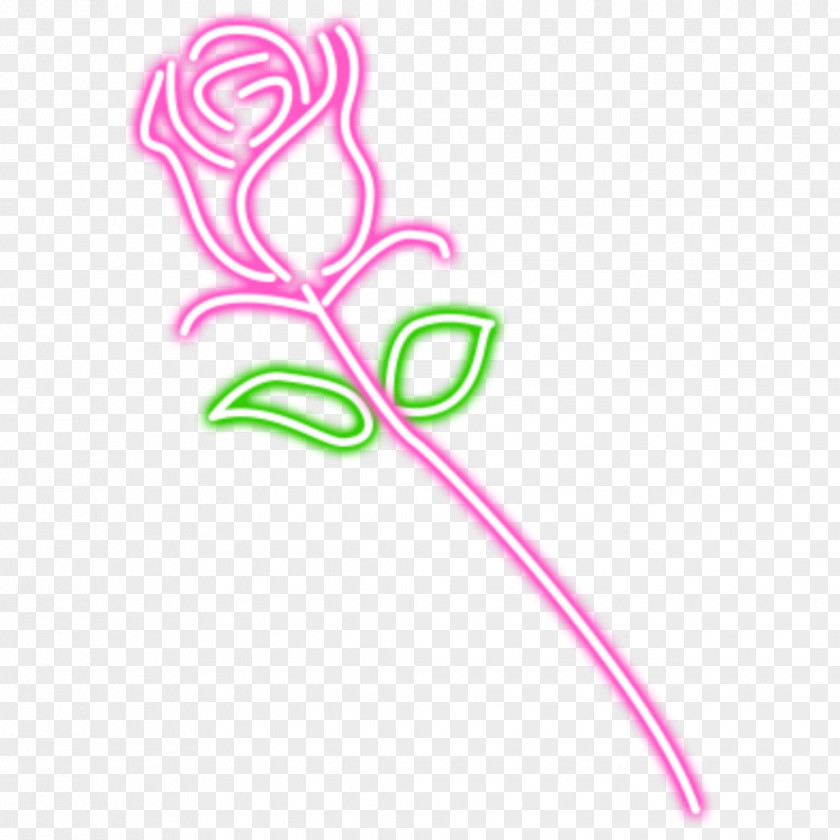 Plant Yellow Pink Flower Cartoon PNG