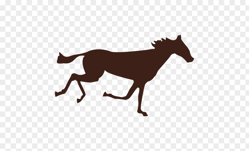 Sequence Vector Canter And Gallop Mustang Pack Animal PNG