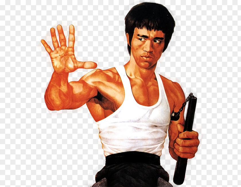 Bruce Lee The Image Of Temple Run 2 PNG