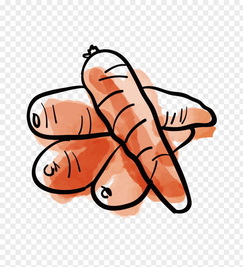 Carrot Vegetable Juice Cooking PNG
