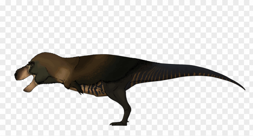 Eoraptor Tyrannosaurus Fauna Extinction Wildlife Beak PNG