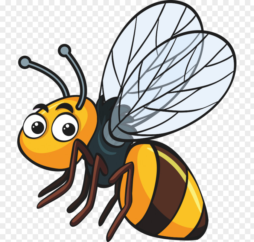 Insect Bee Clip Art PNG