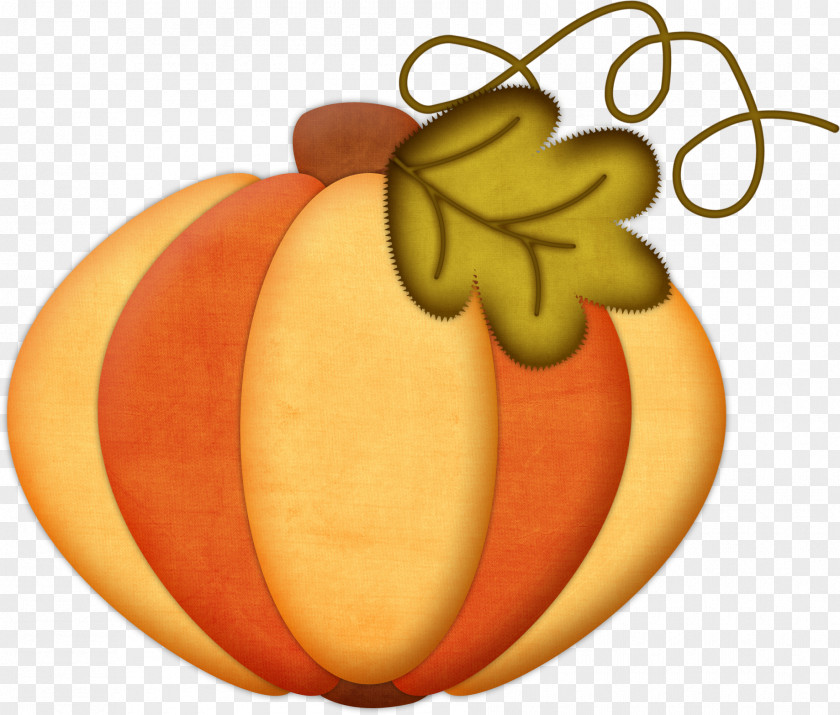 Pumpkin Plant Winter Squash Clip Art Zucchini PNG