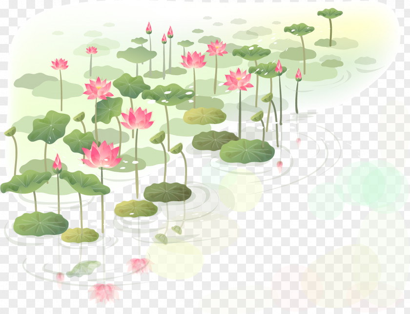 Water Lilies Flower Nelumbo Nucifera Wall Decal Clip Art PNG