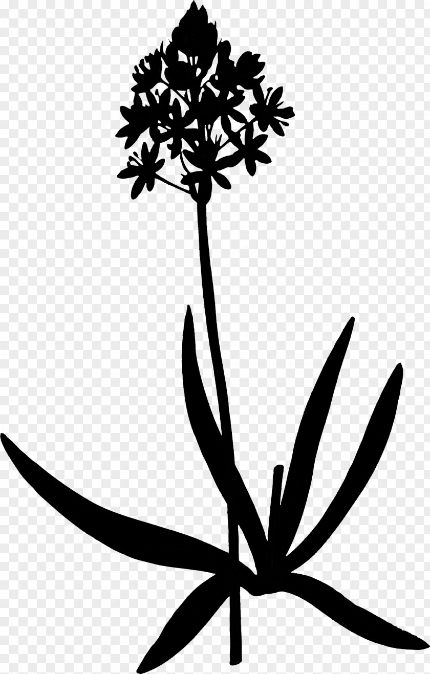 Clip Art Flower Plant Stem Leaf Silhouette PNG