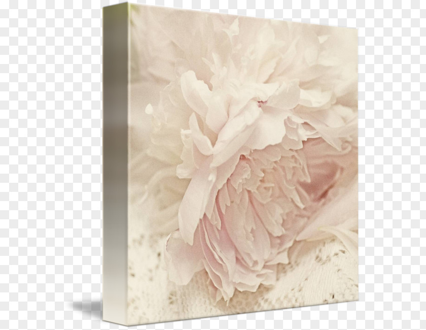 Design Floral Work Of Art Shabby Chic PNG
