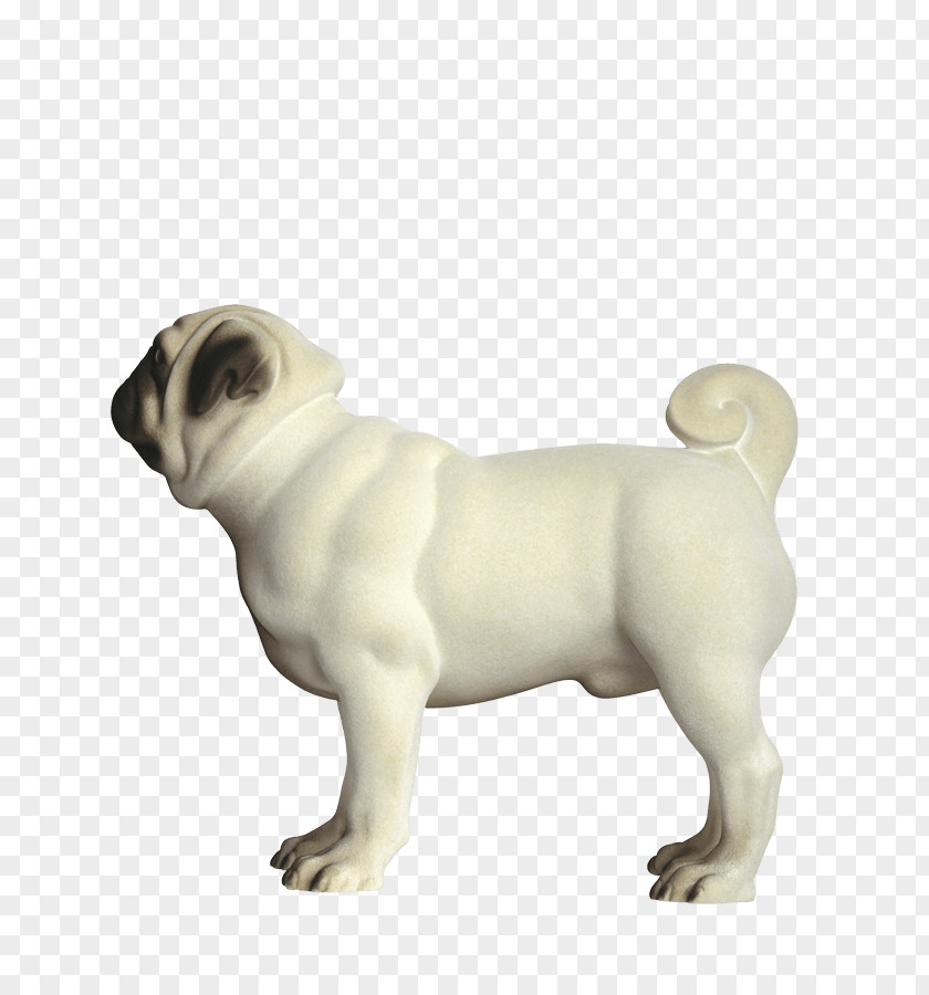 Dog Pug Toy Bulldog Puppy Breed Companion PNG