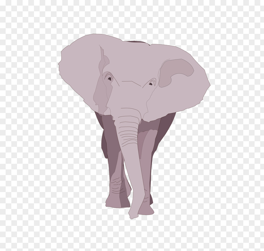 Elephant Indian African Pink M Wildlife PNG