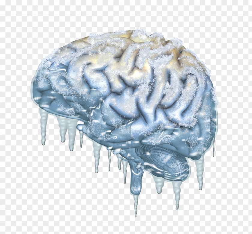Icicles Cold-stimulus Headache Brain Stock Photography Cryonics Royalty-free PNG