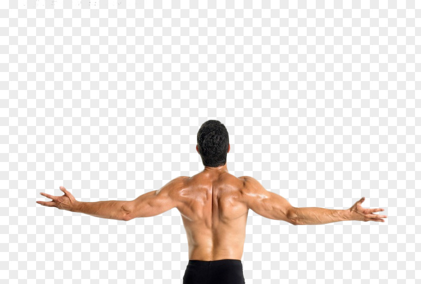 Open Arm Material Picture Latissimus Dorsi Muscle Pulldown Exercise Stock Photography PNG