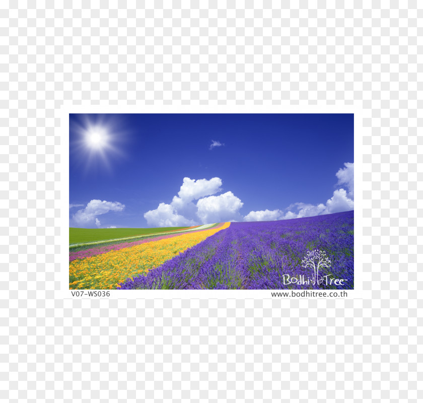 Scenery Background Paper Cardboard Stationery A4 Wallpaper PNG