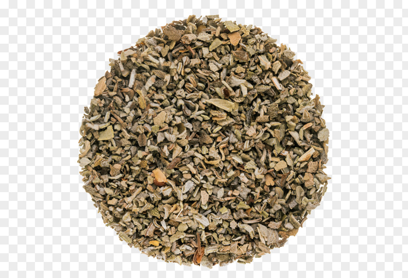 Wild Salvia Anise Spice Common Sage Herb Chun Mee PNG