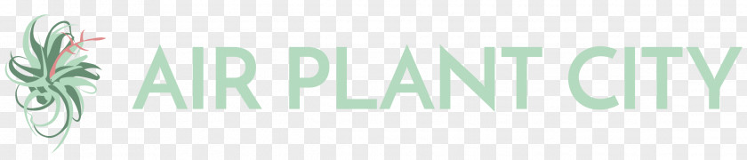 Air Plant Logo Brand Green Font PNG