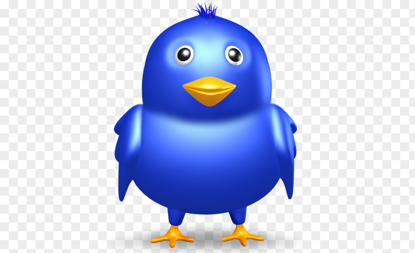 Bird Social Media Clip Art PNG