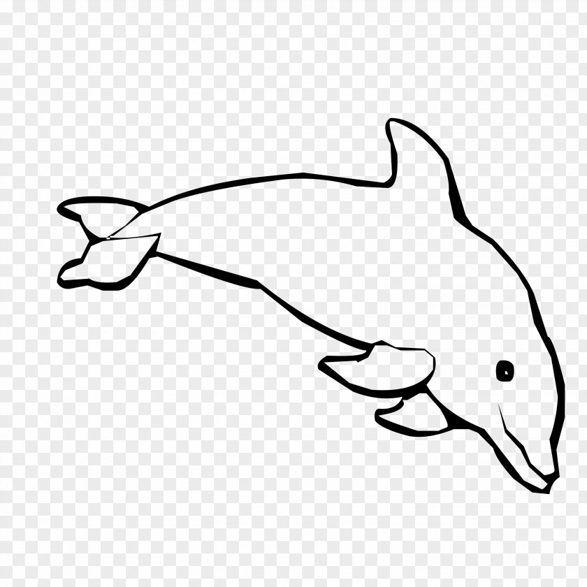 Black And White Lines Cartoon Dolphins Spinner Dolphin Coloring Book Child Bottlenose PNG