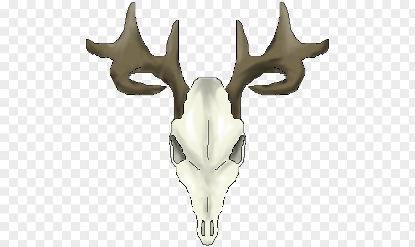 Drawings Of Deer Skulls White-tailed Reindeer Skull Clip Art PNG
