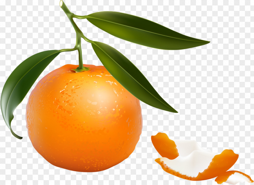 Grapefruit Clementine Tangerine Mandarin Orange Tangelo PNG