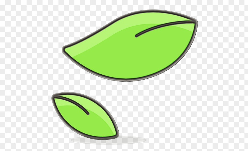 Plant Leaf Green Background PNG