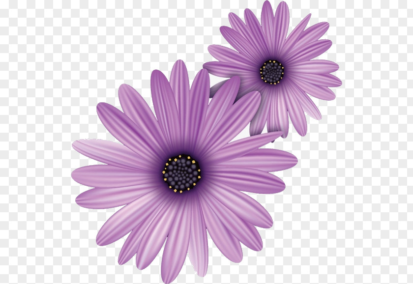 Purple Flowers Image Clip Art Vector Graphics Free Content Illustration PNG