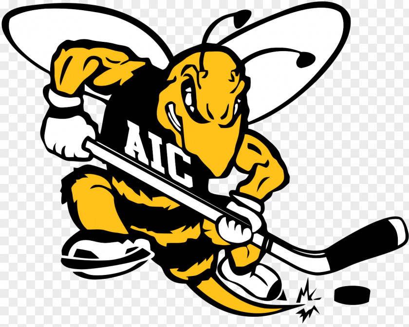 Austin Flyer American International College Yellow Jackets Football NCAA Division I Men's Ice Hockey Tournament PNG