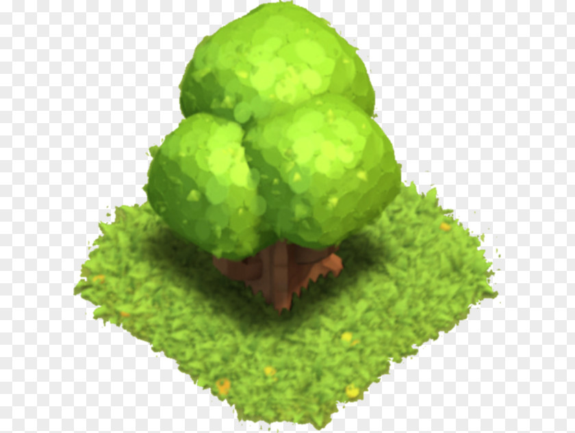 Coc Clash Of Clans Tree Game 0 Supercell PNG