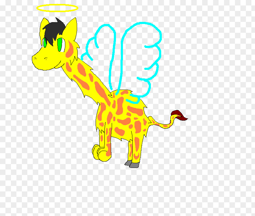 Giraffe Yellow Carnivora Clip Art PNG