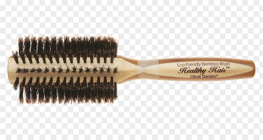 Hair Hairbrush Wild Boar Comb Bristle PNG