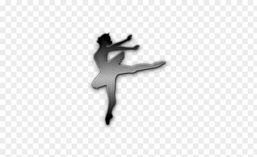 Icon Photos Ballet Dancer PNG