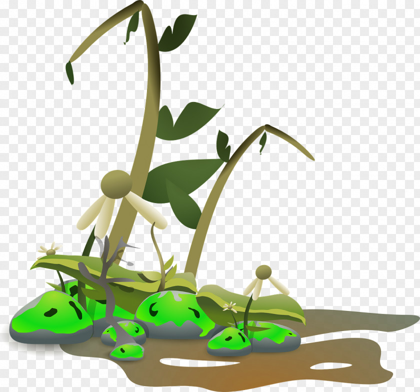 Plants Death Wilting Clip Art PNG