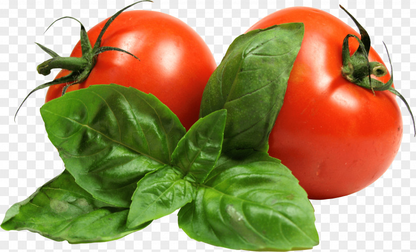Tomato Image Picture Download Cherry Vegetable Pizza PNG